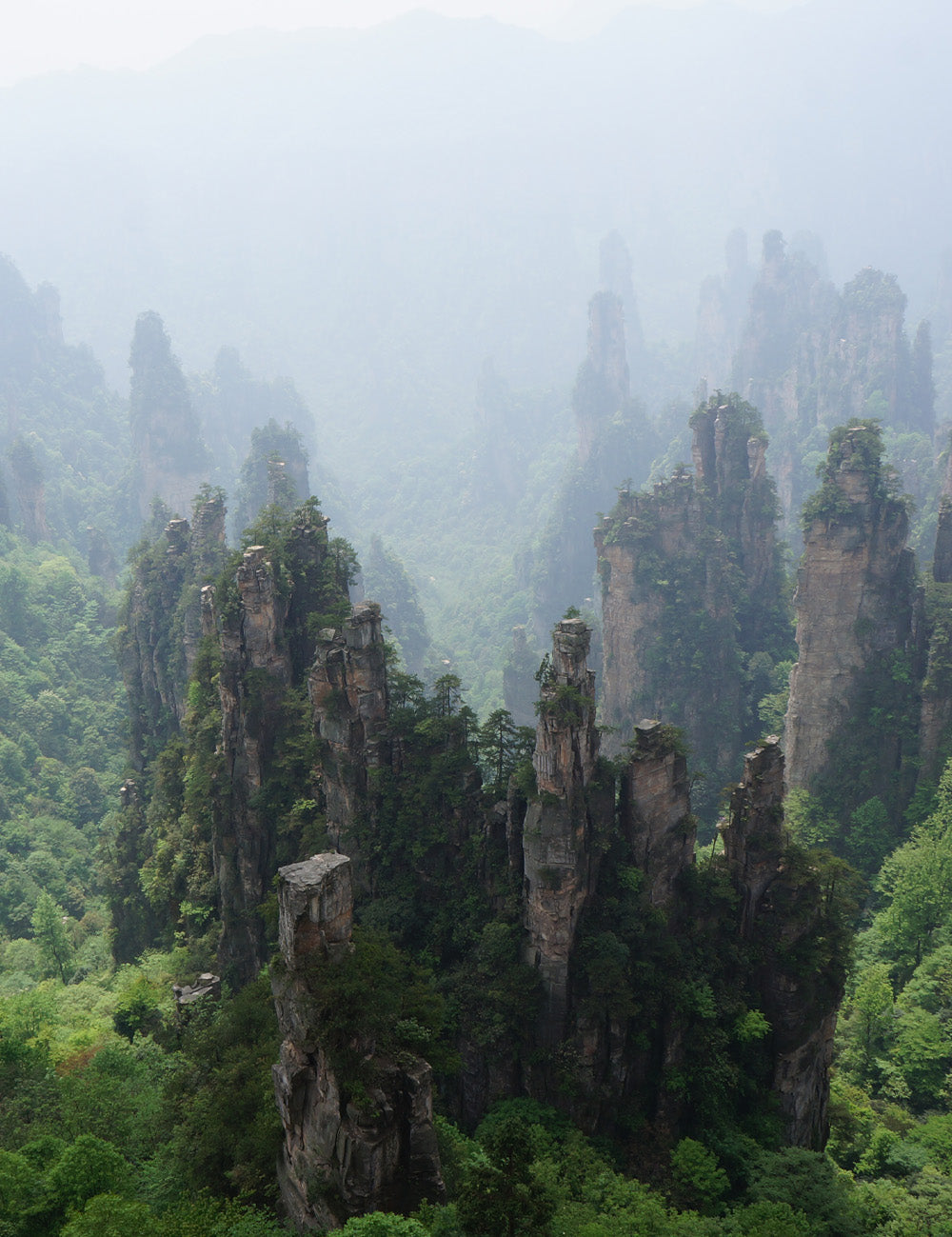 Misty rock towers covered in lush greenery