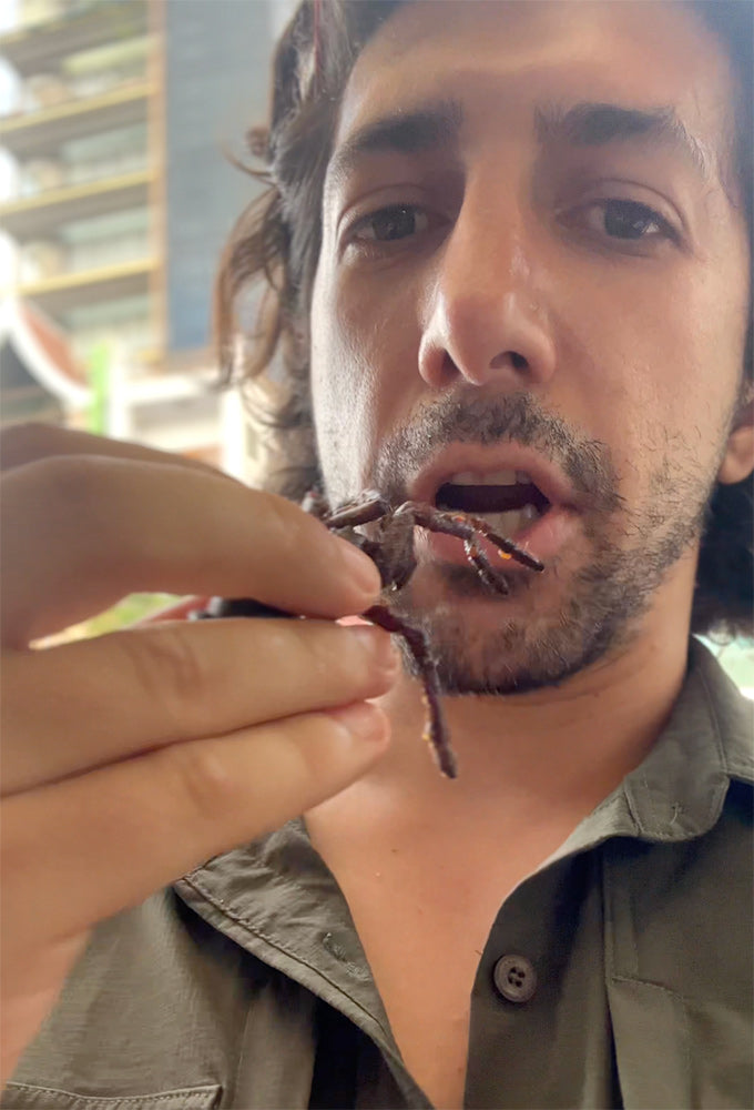 Cambodia-tarantula-spider-eating.jpg
