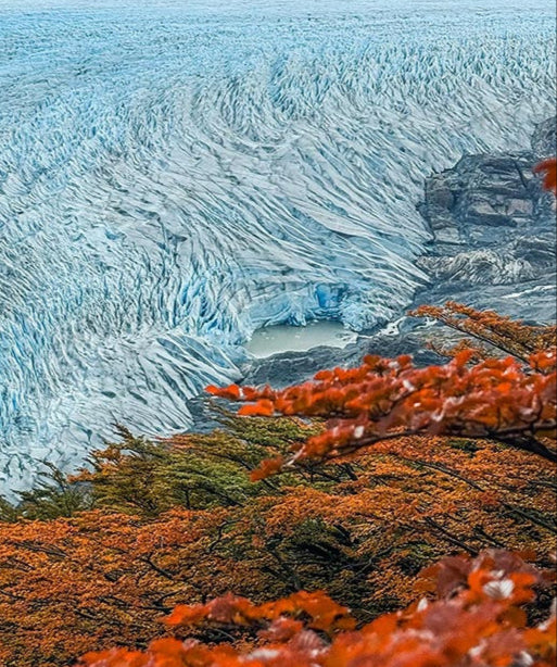 ice fields in Patagonia with fall foliage