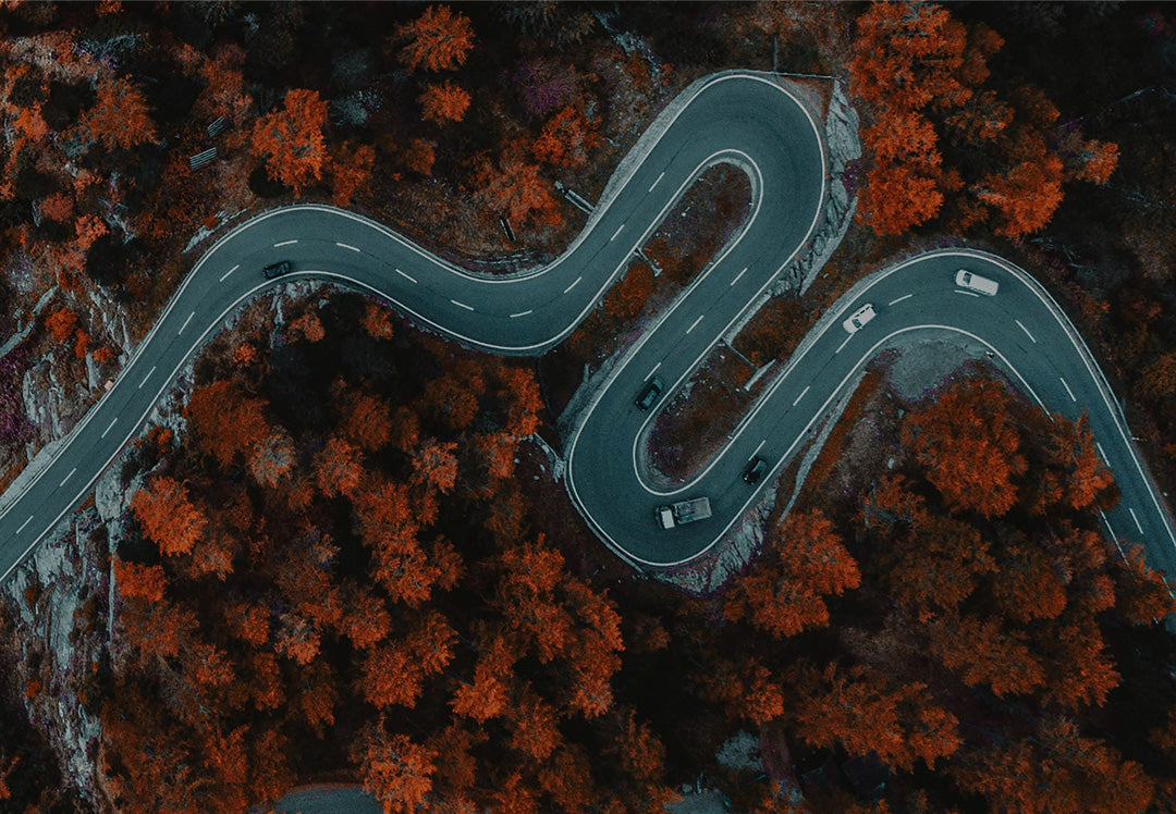 cars traveling down a winding road surrounded by red fall trees