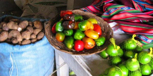 INTERNATIONAL EATING, EAT IT ALL WITHOUT GETTING SICK