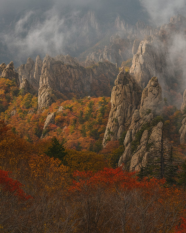 South Korea national park in the fall with autumn leaves and clouds