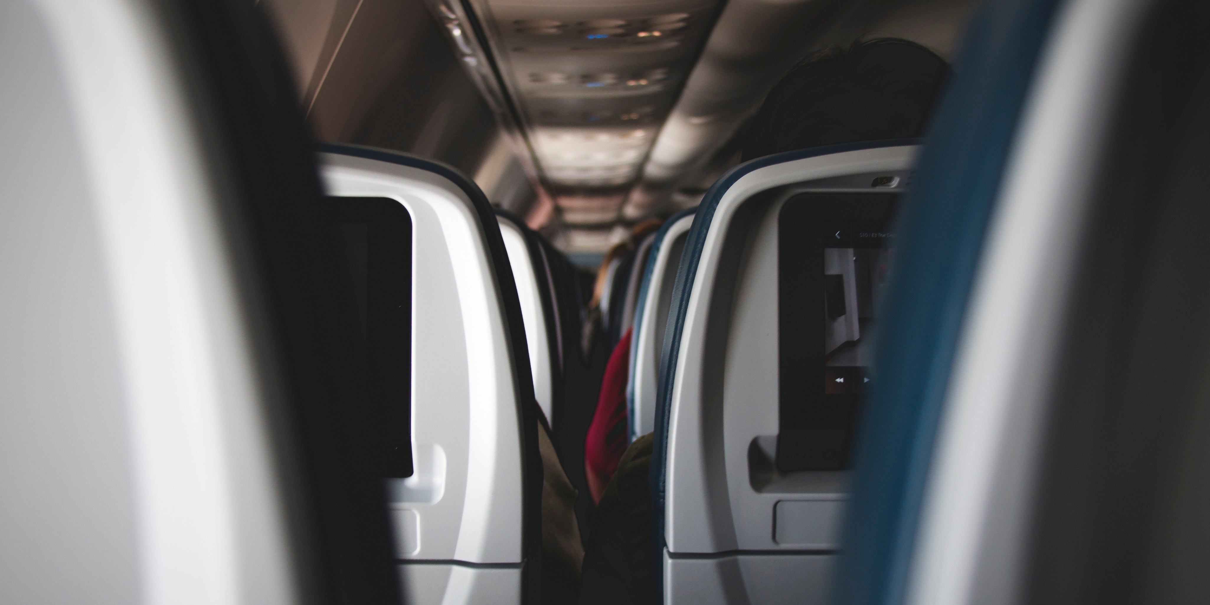 10 Tips for Taking Your Dog on a Flight (in cabin)